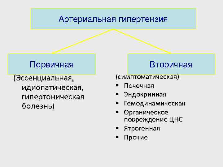 Артериальная гипертензия Первичная (Эссенциальная, идиопатическая, гипертоническая болезнь) Вторичная (симптоматическая) § Почечная § Эндокринная §