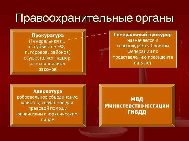 Какие государственные органы называют правоохранительными? 