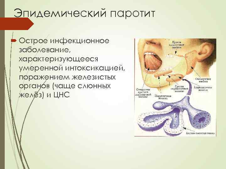 Острое почечное повреждение презентация