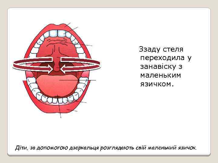 Ззаду стеля переходила у занавіску з маленьким язичком. Діти, за допомогою дзеркальця розглядають свій