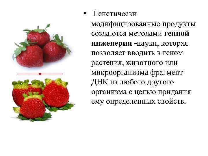  • Генетически модифицированные продукты создаются методами генной инженерии -науки, которая позволяет вводить в