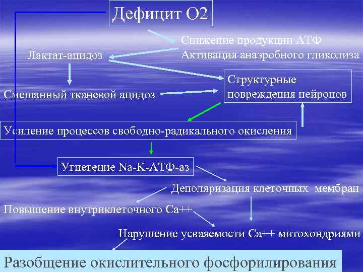 Дефицит О 2 Снижение продукции АТФ Активация анаэробного гликолиза Лактат-ацидоз Структурные повреждения нейронов Смешанный