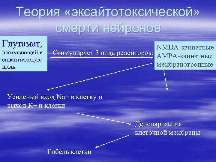 Теория «эксайтотоксической» смерти нейронов Глутамат, поступающий в синаптическую щель NMDA-каинатные Стимулирует 3 вида рецепторов: