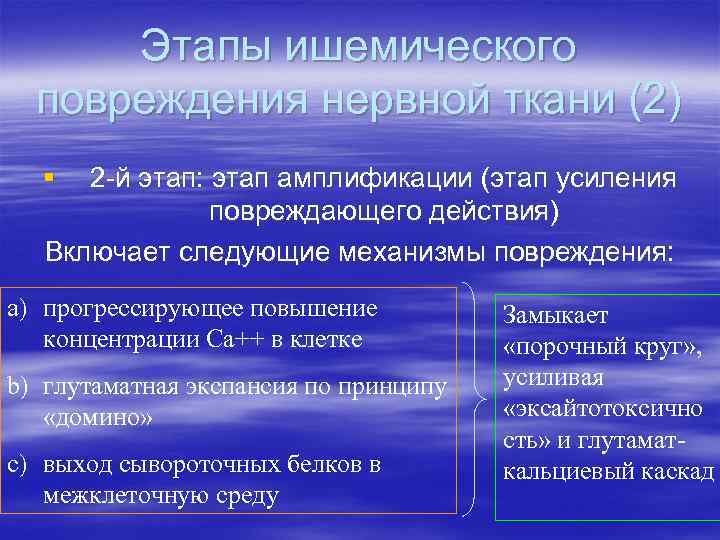 Этапы ишемического повреждения нервной ткани (2) § 2 -й этап: этап амплификации (этап усиления