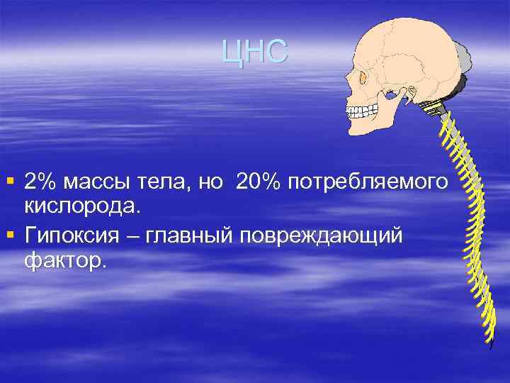 ЦНС § 2% массы тела, но 20% потребляемого кислорода. § Гипоксия – главный повреждающий