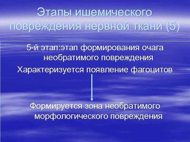 Этапы ишемического повреждения нервной ткани (5) 5 -й этап: этап формирования очага необратимого повреждения