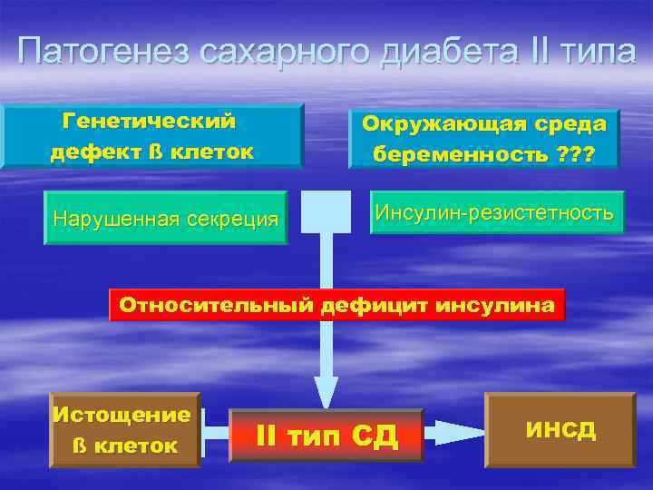 Патогенез сахарного диабета II типа Генетический дефект ß клеток Нарушенная секреция Окружающая среда беременность