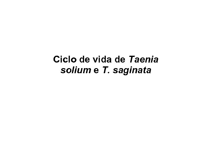 Ciclo de vida de Taenia solium e T. saginata 