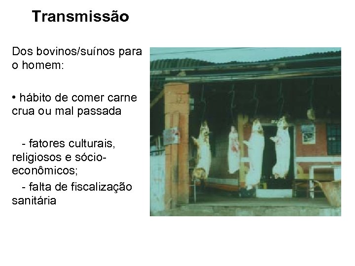 Transmissão Dos bovinos/suínos para o homem: • hábito de comer carne crua ou mal