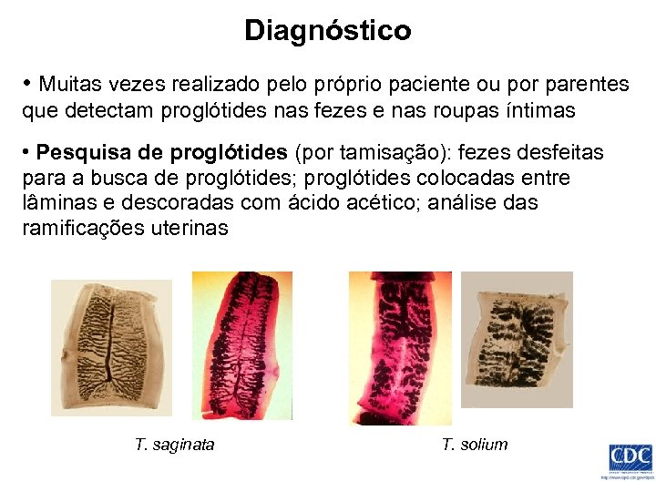 Diagnóstico • Muitas vezes realizado pelo próprio paciente ou por parentes que detectam proglótides