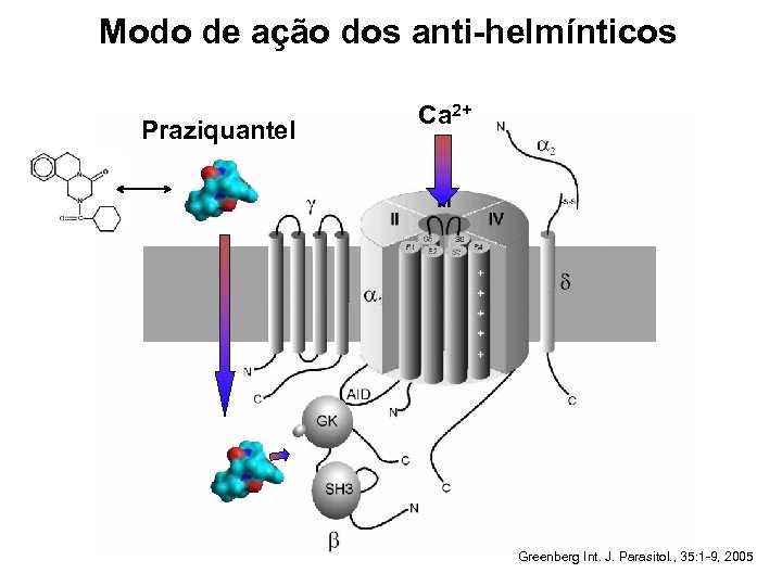 Modo de ação dos anti-helmínticos Praziquantel Ca 2+ Greenberg Int. J. Parasitol. , 35: