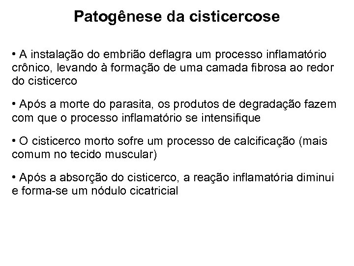 Patogênese da cisticercose • A instalação do embrião deflagra um processo inflamatório crônico, levando