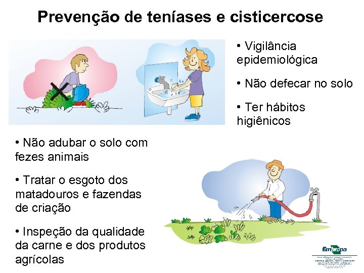 Prevenção de teníases e cisticercose • Vigilância epidemiológica • Não defecar no solo •