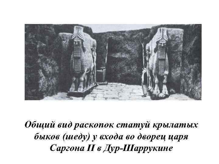 Общий вид раскопок статуй крылатых быков (шеду) у входа во дворец царя Саргона II