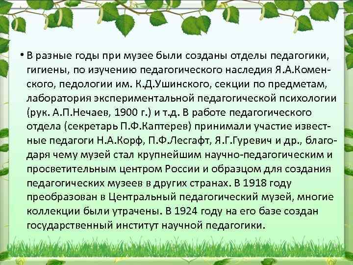  • В разные годы при музее были созданы отделы педагогики, гигиены, по изучению