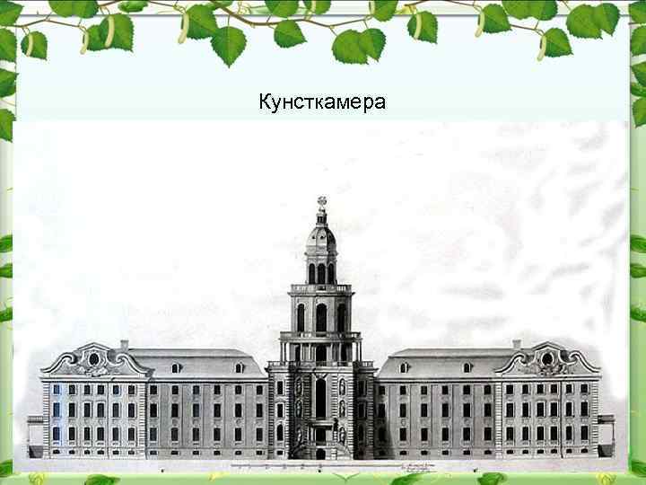 Кунсткамера 