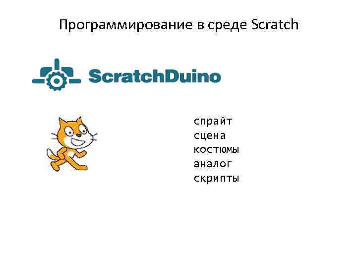 Программирование в среде Scratch спрайт сцена костюмы аналог скрипты 