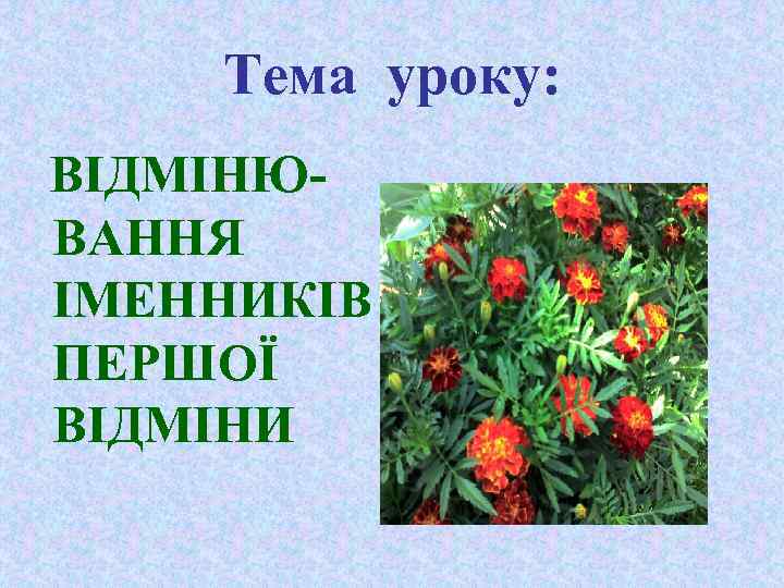 Тема уроку: ВІДМІНЮВАННЯ ІМЕННИКІВ ПЕРШОЇ ВІДМІНИ 