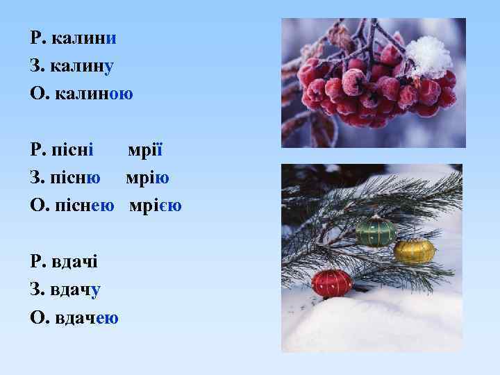 Р. калини З. калину О. калиною Р. пісні мрії З. пісню мрію О. піснею