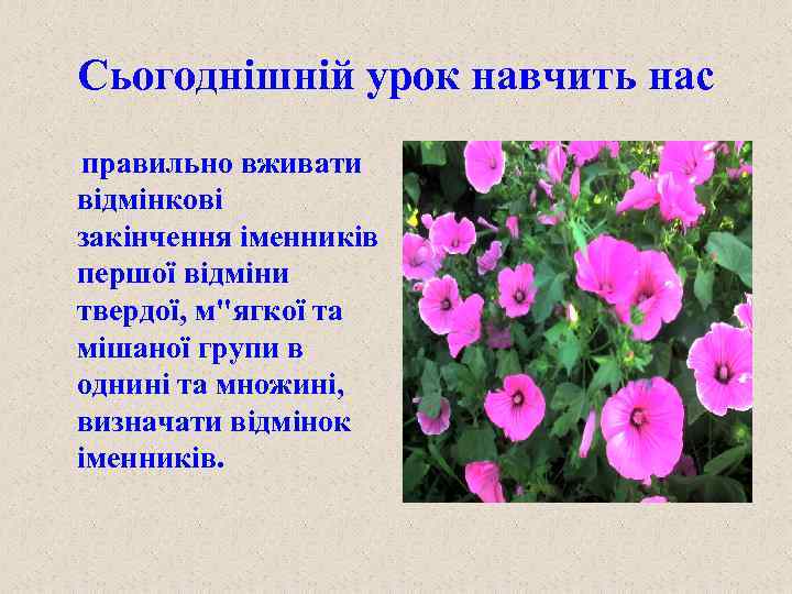 Сьогоднішній урок навчить нас правильно вживати відмінкові закінчення іменників першої відміни твердої, м