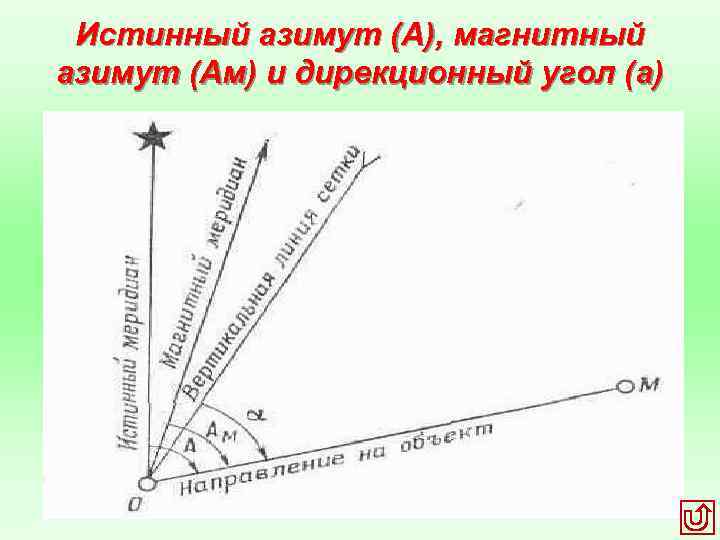 Истинный азимут (А), магнитный азимут (Ам) и дирекционный угол (a) 