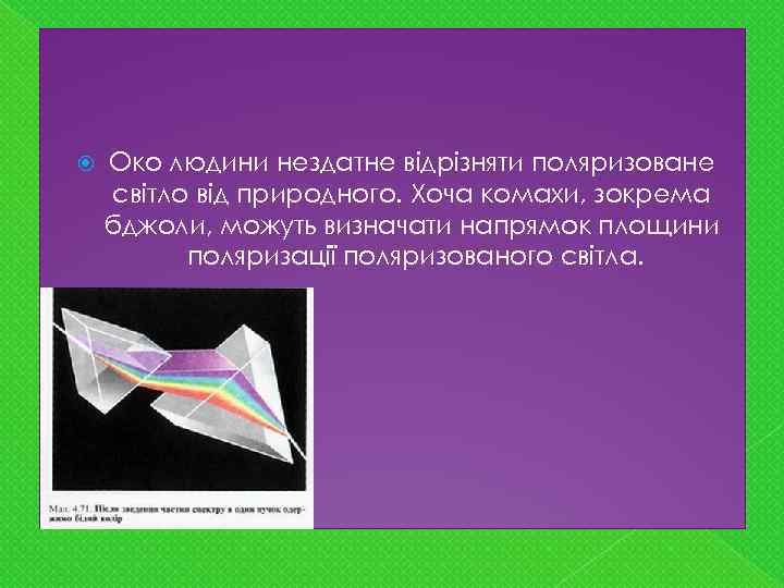  Око людини нездатне відрізняти поляризоване світло від природного. Хоча комахи, зокрема бджоли, можуть