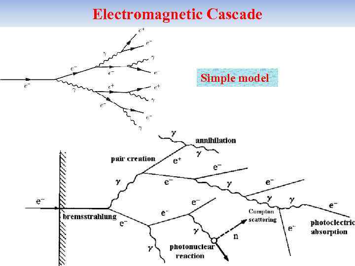 Electromagnetic Cascade Simple model 