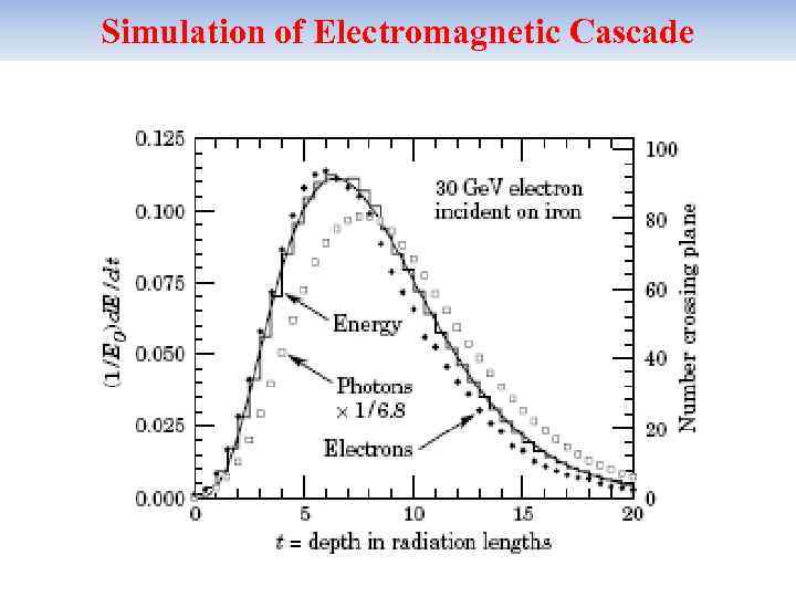 Simulation of Electromagnetic Cascade 