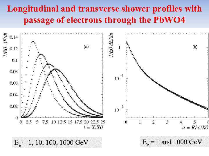 Longitudinal and transverse shower profiles with passage of electrons through the Pb. WO 4