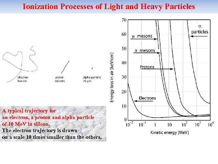 Ionization Processes of Light and Heavy Particles A typical trajectory for an electron, a