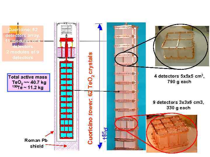 Total active mass Te. O 2 ~~ 40. 7 kg 130 Te ~ 11.