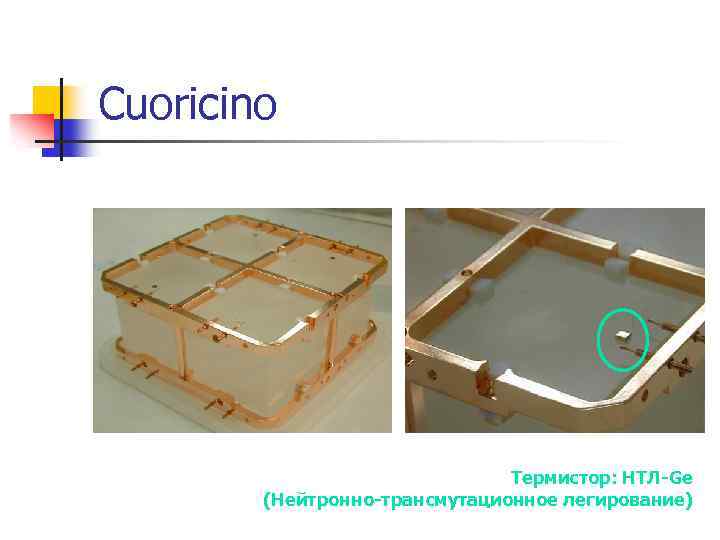 Cuoricino Термистор: НТЛ-Ge (Нейтронно-трансмутационное легирование) 