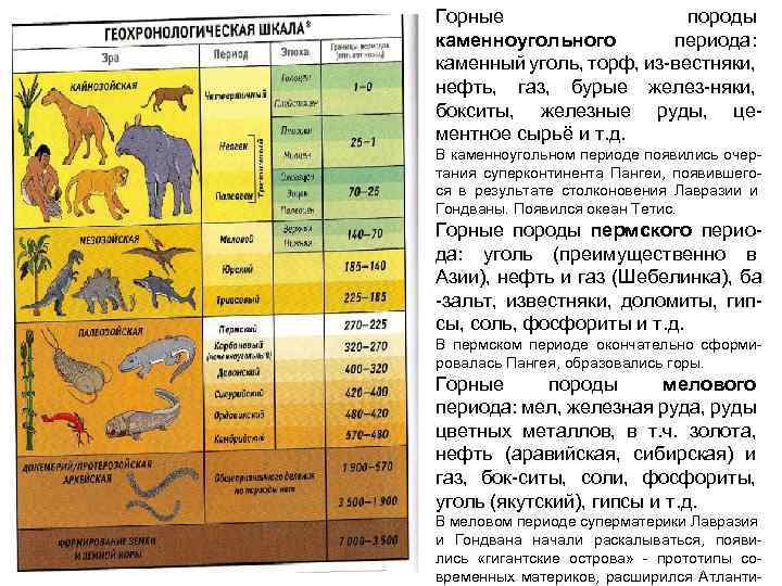 Горные породы каменноугольного периода: каменный уголь, торф, из-вестняки, нефть, газ, бурые желез-няки, бокситы, железные