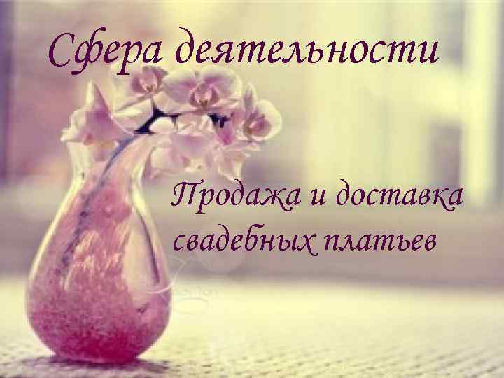 Сфера деятельности Продажа и доставка свадебных платьев 