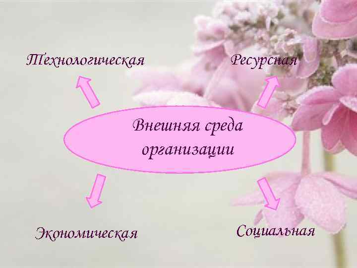 Технологическая Ресурсная Внешняя среда организации Экономическая Социальная 