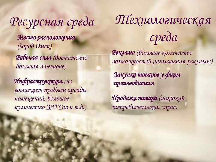 Ресурсная среда Место расположения (город Омск) Рабочая сила (достаточно большая в регионе) Инфраструктура (не