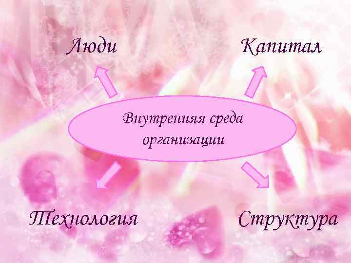 Люди Капитал Внутренняя среда организации Технология Структура 