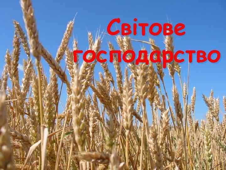 Світове господарство 