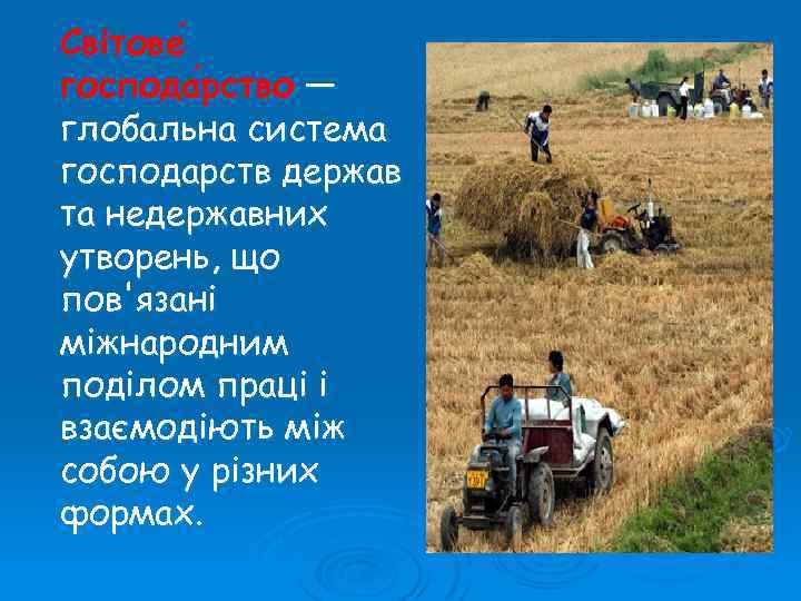 Світове господа рство — рство глобальна система господарств держав та недержавних утворень, що пов'язані