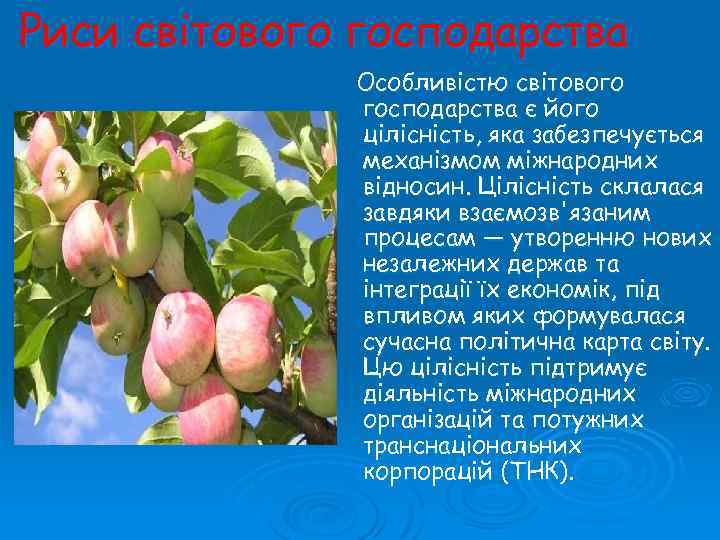 Риси світового господарства Особливістю світового господарства є його цілісність, яка забезпечується механізмом міжнародних відносин.