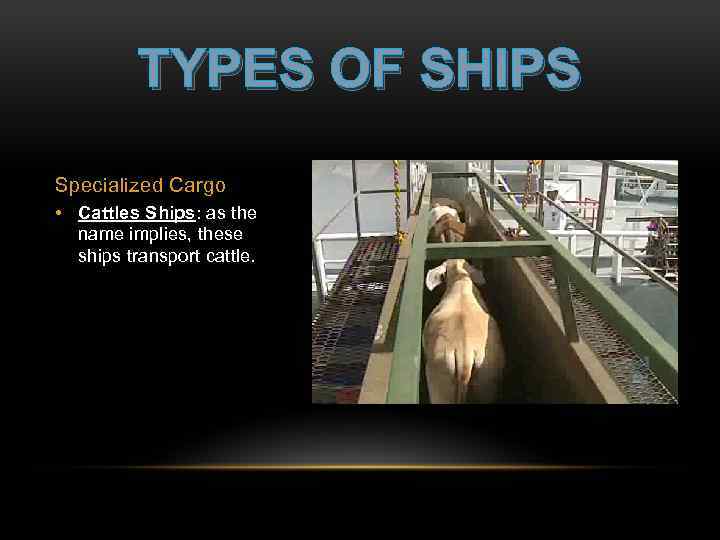 TYPES OF SHIPS Specialized Cargo • Cattles Ships: as the name implies, these ships