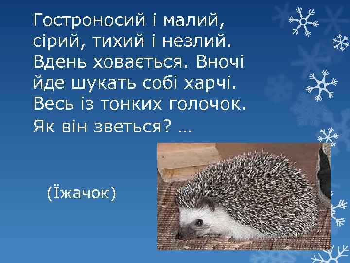 Гостроносий і малий, сірий, тихий і незлий. Вдень ховається. Вночі йде шукать собі харчі.