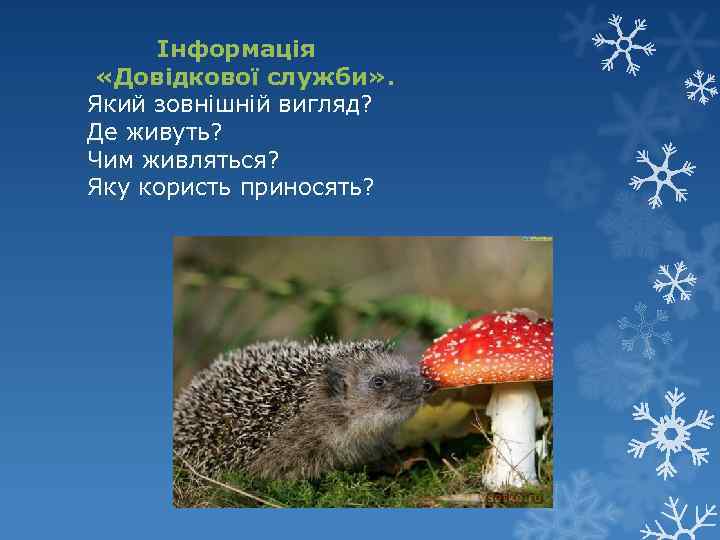  Інформація «Довідкової служби» . Який зовнішній вигляд? Де живуть? Чим живляться? Яку користь