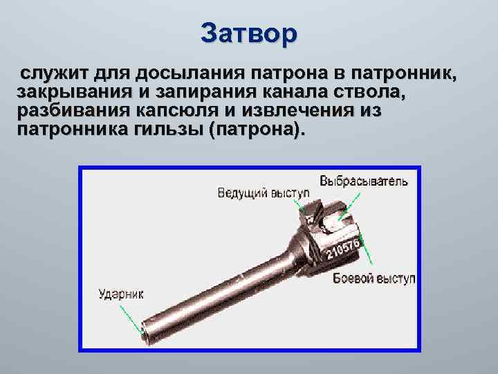 Затвор служит для досылания патрона в патронник, закрывания и запирания канала ствола, разбивания капсюля