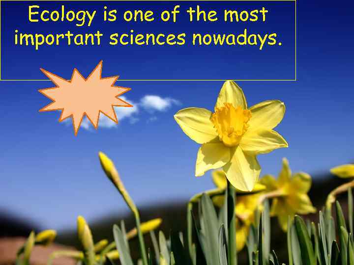 Ecology is one of the most important sciences nowadays. 