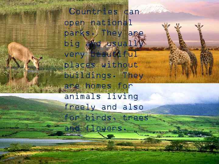 Сountries can open national parks. They are big and usually very beautiful places without
