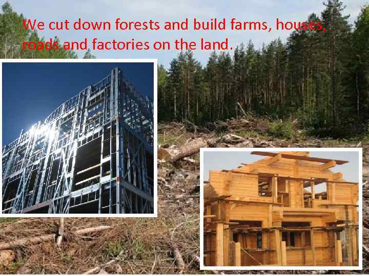 We cut down forests and build farms, houses, roads and factories on the land.
