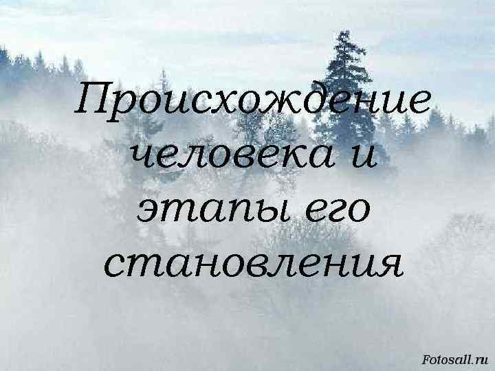 Происхождение человека и этапы его становления 