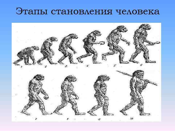 Сообщение становление человека. Стадии становления человека. Изучить этапы становления человека. Этапы становления человека презентация.