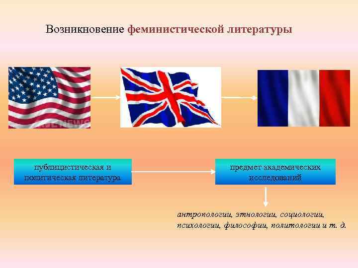 Возникновение феминистической литературы публицистическая и политическая литература предмет академических исследований антропологии, этнологии, социологии, психологии,